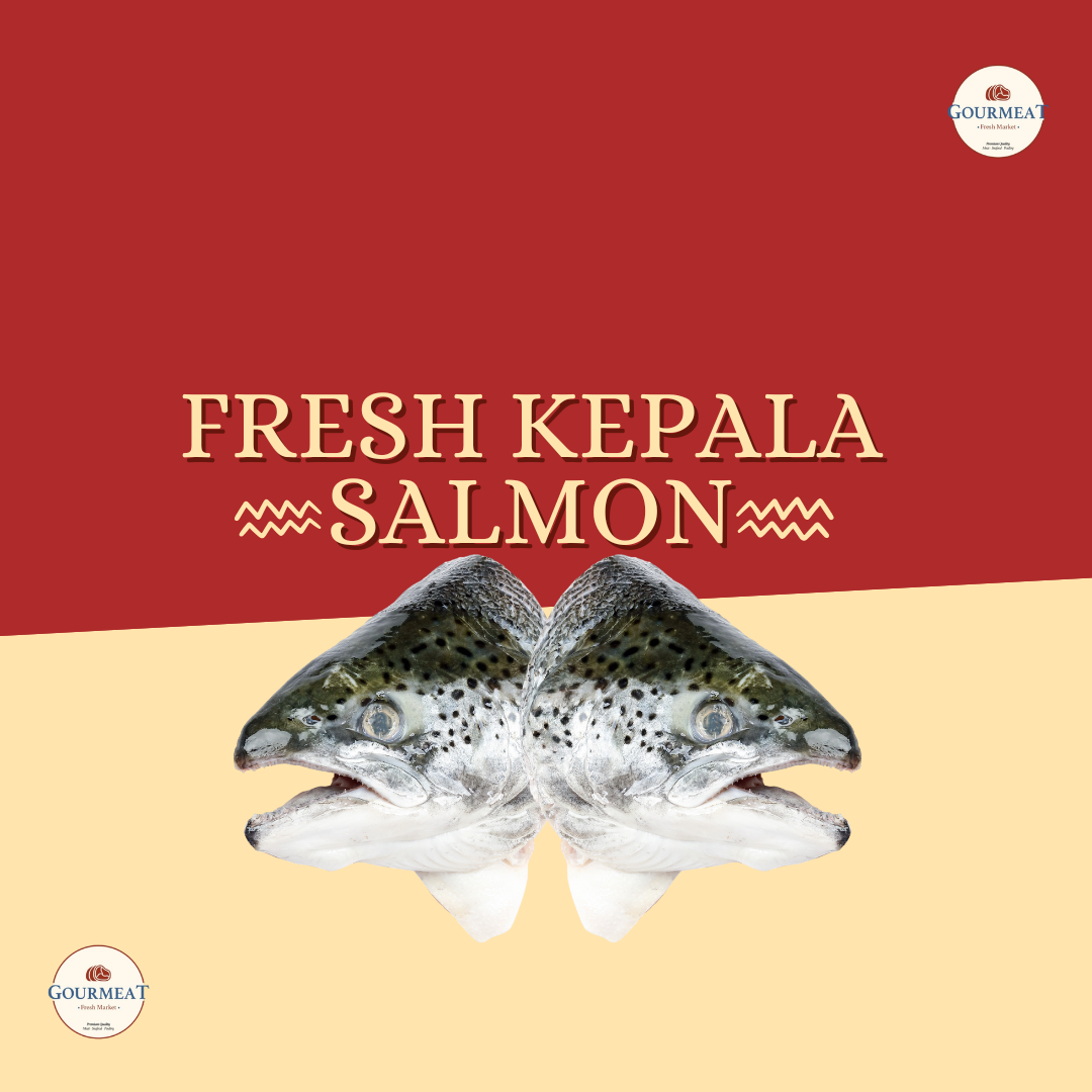 Fresh Kepala Salmon Isi 2