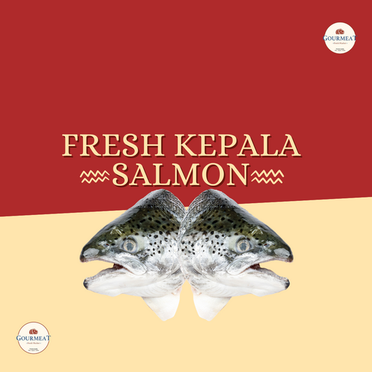 Fresh Kepala Salmon Isi 2
