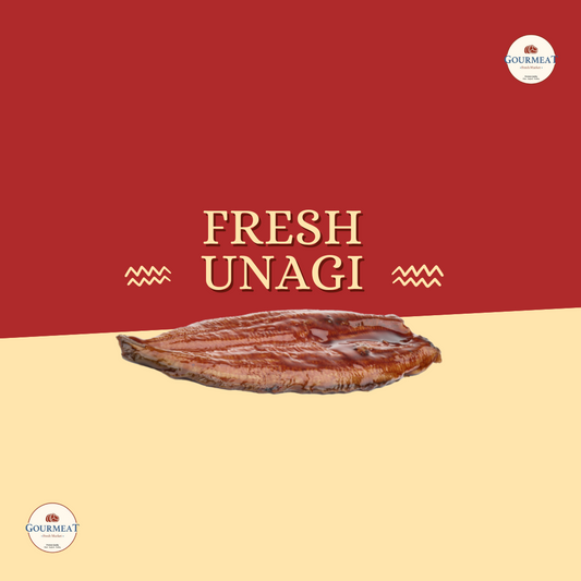 Fresh Unagi 100gr